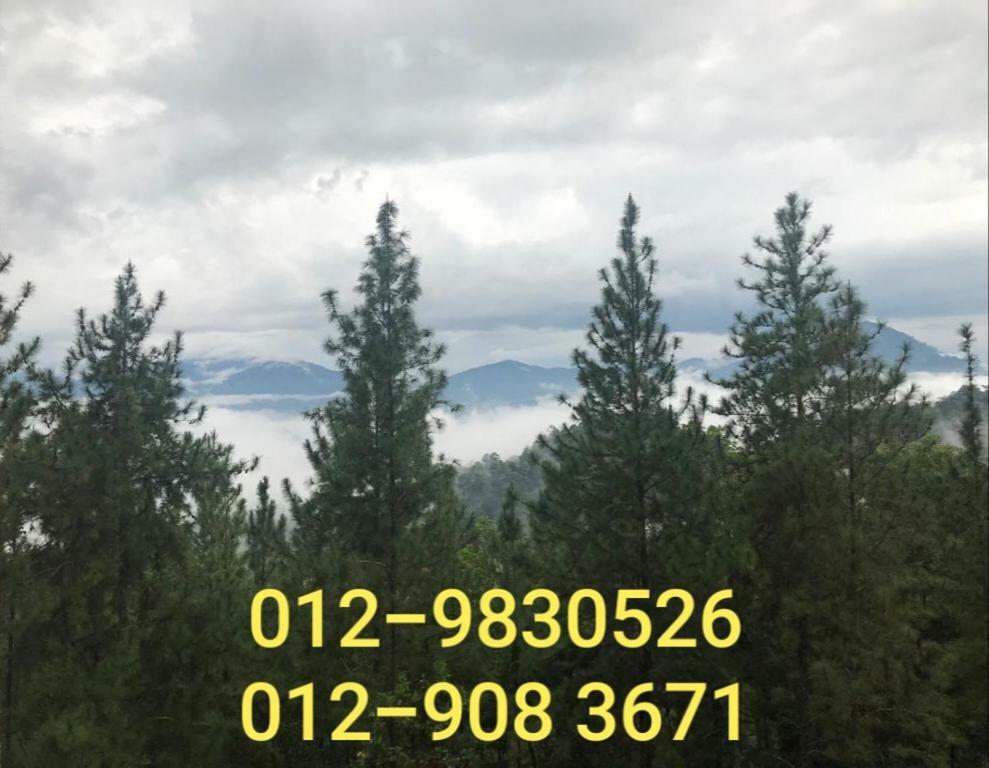 Bukit Tinggi Berjaya Hill Homestay Exterior foto